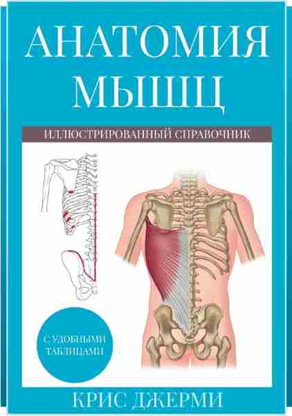 anatomiya-myshc-illustrirovannyy-spravochnik