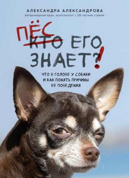 pes_ego_znaet_chto_v_golove_u_sobaki