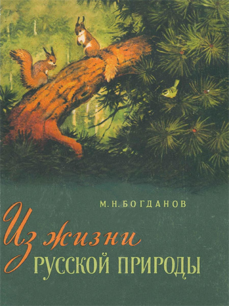 Из жизни русской природы