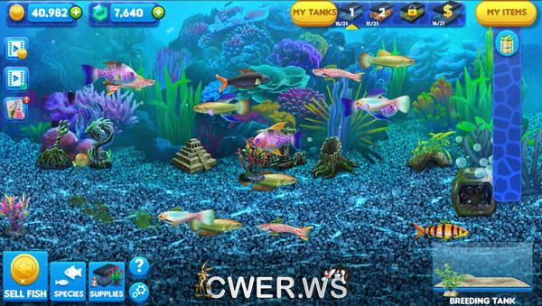 скриншот игры Fish Tycoon 2