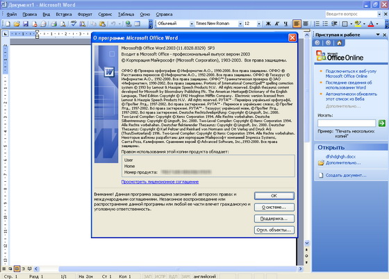 Microsoft Office Professional