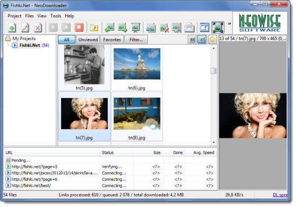 Portable NeoDownloader 2.9.4.185