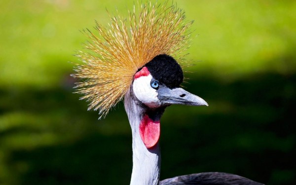 New Mixed HD Wallpapers Pack 156