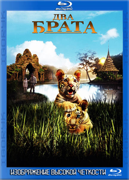 Два брата (2004) HDRip