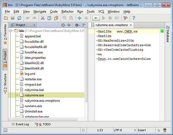 RubyMine 5