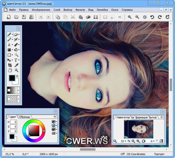 openCanvas 5.5