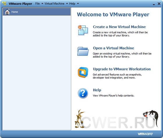 VMware Player