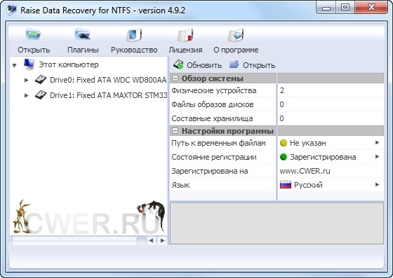 Raise Data Recovery