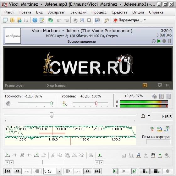 Total Recorder