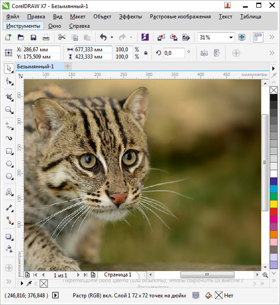 Portable CorelDRAW Graphics Suite X7 17.1.0.572