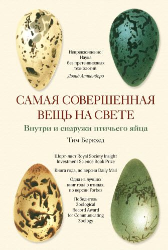 Тим Беркхед. Самая совершенная вещь на свете. Внутри и снаружи птичьего яйца