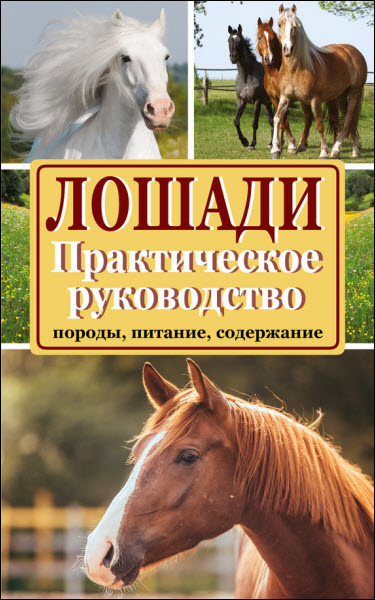 Константин Голубев. Лошади. Породы, питание, содержание. Практическое руководство